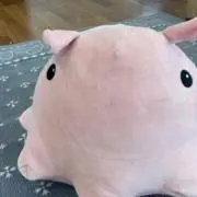 みりんの画像