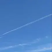 松りさの画像