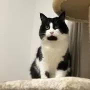 ＊.Pal*パル*＊の画像