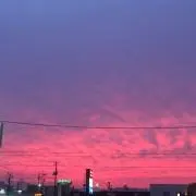 コウ1