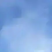 たぬぽんの画像