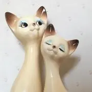 サビハチの画像