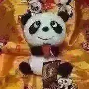 パンダです♡♡♡