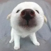 みなみ☆の画像