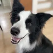 坂さんの画像