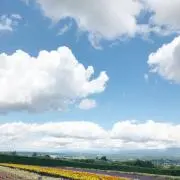 むくたん