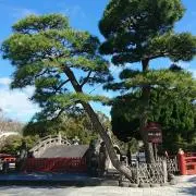 67の画像