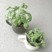 Aki☆mの画像
