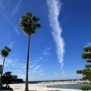 めいの画像