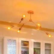 WMの画像