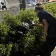 SONYの画像