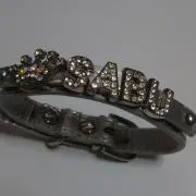 SABの画像