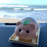 新潟Basserぶぅちゃん