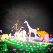 figaronnn@★の画像