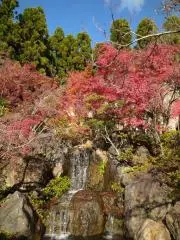 ちゃーさん