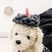 るう♡の画像
