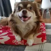 みいこの画像