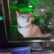 おすし02