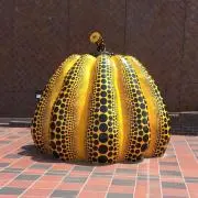 ぱんぷきんの画像