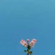 ここの画像