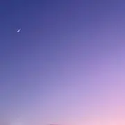 AM