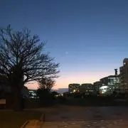 神楽の画像