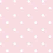 リっッコの画像