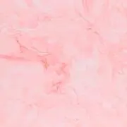 __m.169の画像