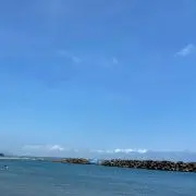 みゅみゅの画像