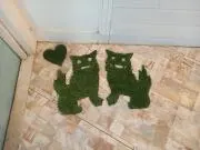 まあちゃんの画像