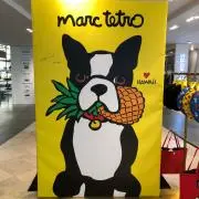Toshi【プロフの一読お願いします】の画像