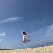 Yuの画像