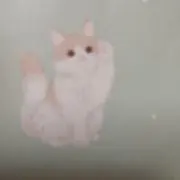 ハルの画像