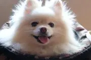 Sei0619の画像