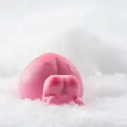 みちゃの画像