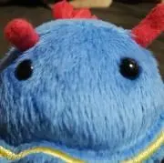 ちゃよの画像