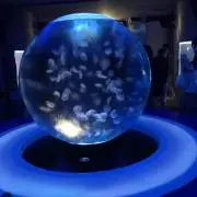 K.K