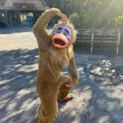 きち プロフ必読の画像