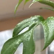 ·͜·❤︎‬の画像