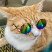 モニカの画像