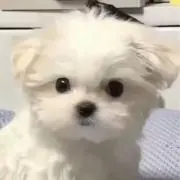 ☻の画像