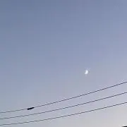 ひなの画像