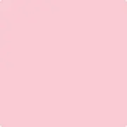 チョロギの画像