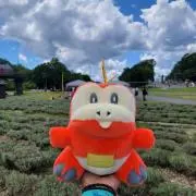 rio222の画像