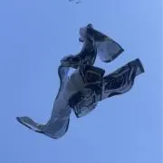ピーナッツ【プロフ確認お願いします！】の画像