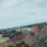 ゆゆ