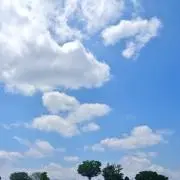 AzuL ☆即購入OK/プロフ必読お願いの画像