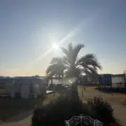 ポポラス
