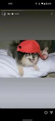 ウォンちゃん