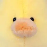 ぴよきち